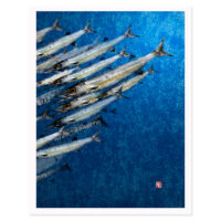 School of barracudas gyotaku by Debra Lumpkins