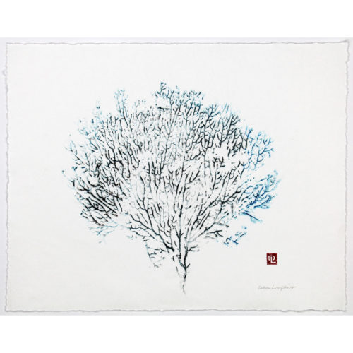 Sea Fan original gyotaku by Debra Lumpkins