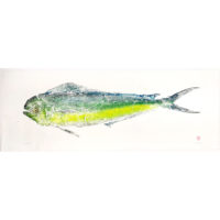 17056 Mahimahi gyotaku by Debra Lumpkins
