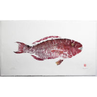 17183 palukaluka parrotfish gyotaku by Debra Lumpkins