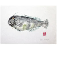16081 Nabeta gyotaku by Debra Lumpkins