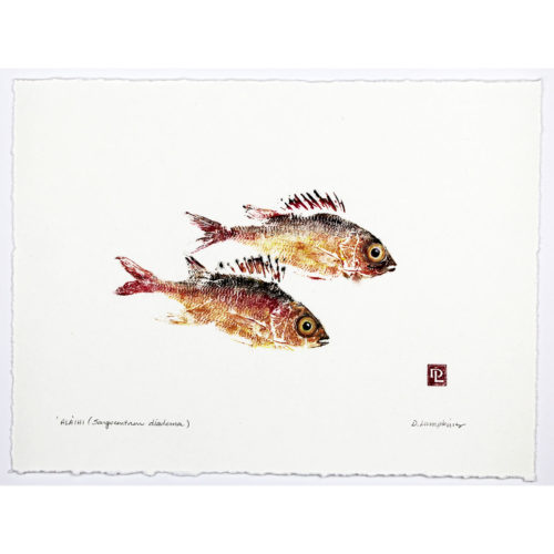 Squirrelfish original gyotaku by Debra Lumpkins