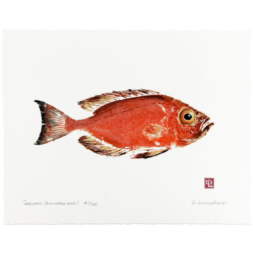 Aweoweo Hawaiian Bigeye gyotaku by Debra Lumpkins