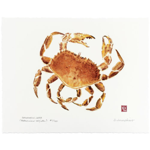 Dungeness Crab gyotaku by Debra Lumpkins