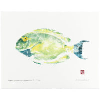 Palani Surgeonfish gyotaku by Debra Lumpkins