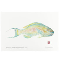 Uhu ele ele gyotaku by Debra Lumpkins