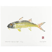 Weke pueo gyotaku by Debra Lumpkins