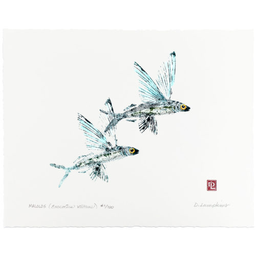 1045 Two Malolos Gyotaku by Debra Lumpkins