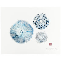 Blue Sea Urchins gyotaku by Debra Lumpkins