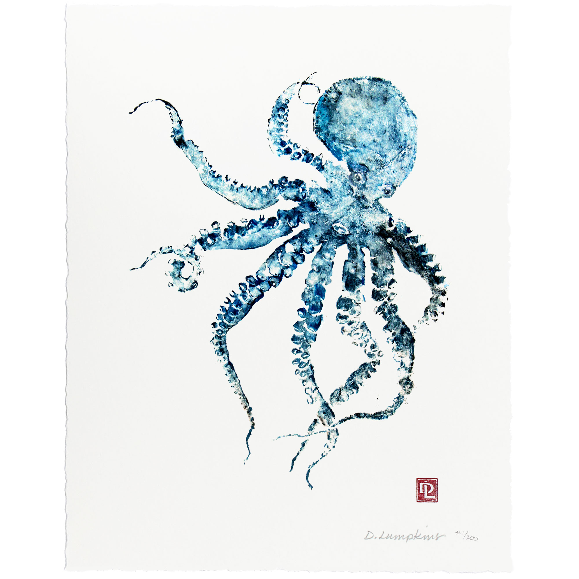 Little Blue Octopus  Debra Lumpkins Studio