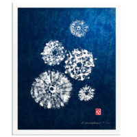 Indigo Sea Urchins