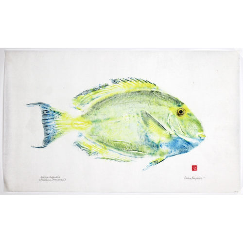 Eyestripe surgeonfish original gyotaku by Debra Lumpkins
