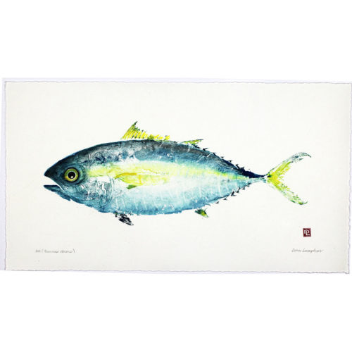 Ahi Tuna original gyotaku by Debra Lumpkins