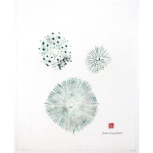 Three Sea Urchins original gyotaku by Debra Lumpkins