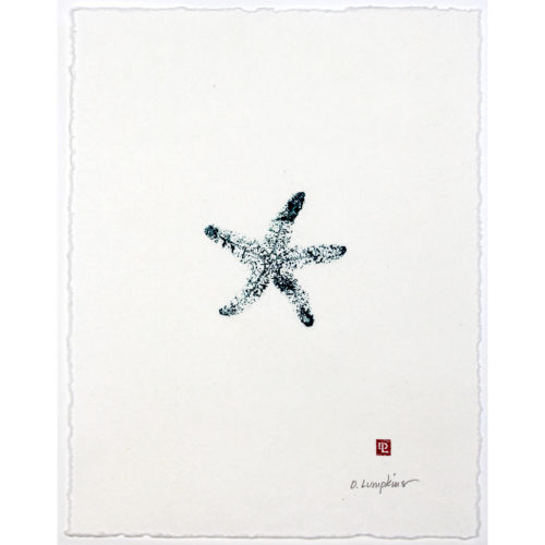 Sea star on gyotaku by Debra Lumpkins