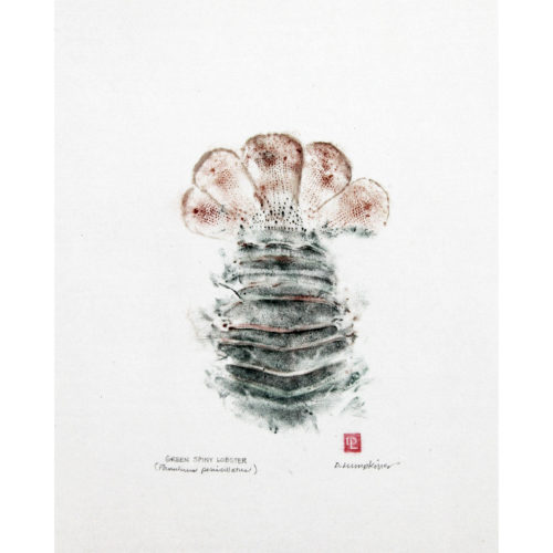 Green Spiny Lobster tail gyotaku by Debra Lumpkins