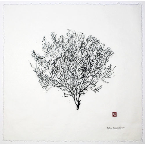 Sea Fan original gyotaku by Debra Lumpkins