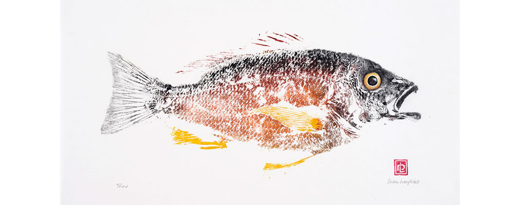 Blacktail snapper gyotaku by Debra Lumpkins