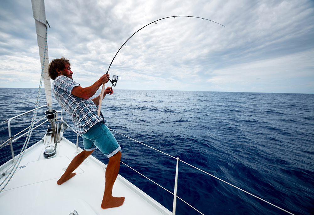 Mahimahi fishing