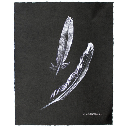 Two feathers original nature print by Debra Lumpkins