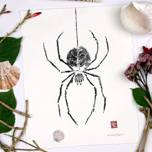 Spooky Spider original nature print by Debra Lumpkins