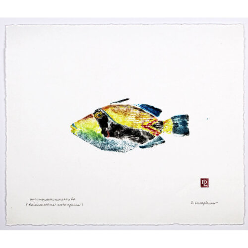 humuhumunukunukuapua`a original gyotaku by Debra Lumpkins
