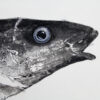 closeup of bonefish gyotaku eye