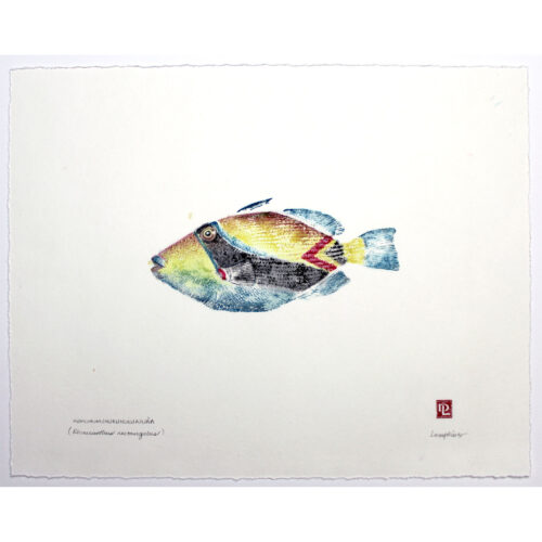 3811 humuhumu original gyotaku by Debra Lumpkins