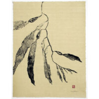 4225 Giant Kelp Original gyotaku by Debra Lumpkins