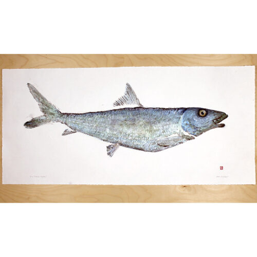 Oio Bonefish original gyotaku by Debra Lumpkins