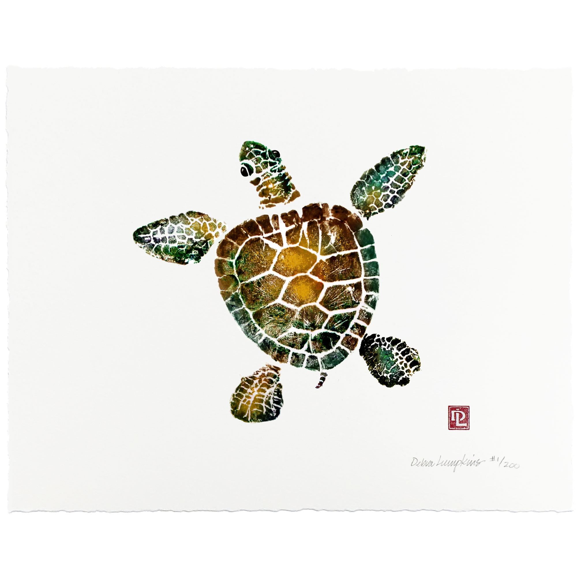 Hawaiian Childrens Canvas & Paint Set Honu Turtle