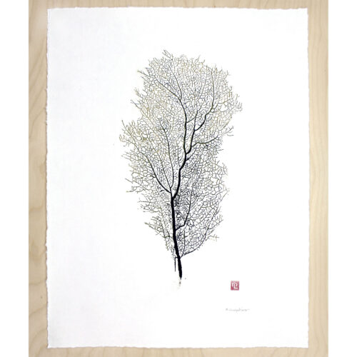 Tall Sea Fan original gyotaku by Debra Lumpkins