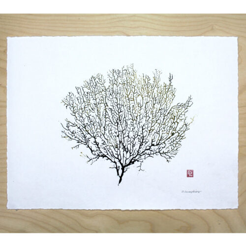 Sea Fan art original gyotaku by Debra Lumpkins