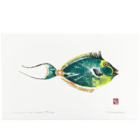 1055 unicornfish limited edition print by Debra Lumpkins