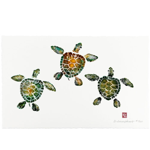 1062 3 Baby Honu gyotaku by Debra Lumpkins