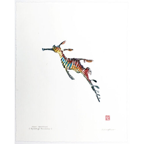 6560 Weedy Seadragon original gyotaku by Debra Lumpkins