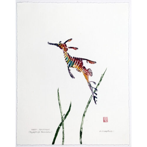 6561 Weedy Seadragon original gyotaku by Debra Lumpkins