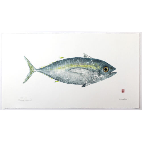 Shibi Ahi Tuna original gyotaku by Debra Lumpkins