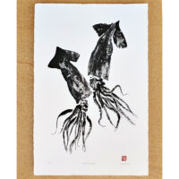 Two Squids Gyotaku Limited edition print by Debra Lumpkins Studio