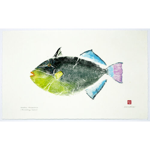 Pinktail triggerfish original gyotaku by Debra Lumpkins