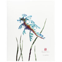 Leafy Seadragon limited edition gyotaku by Debra Lumpkins