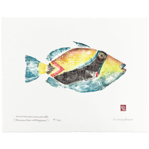 Hawaiian state fish, humu humu limitewd edition gyotaku print by Debra Lumpkins