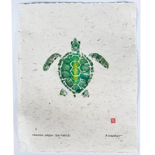 Hawaiian Green Sea Turtle Hatchling gyotaku by Debra Lumpkins